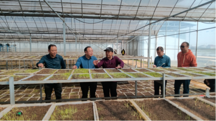 常德市| 石門(mén)縣農(nóng)業(yè)農(nóng)村局干部開(kāi)展糧食生產(chǎn)大服務(wù)活動(dòng)