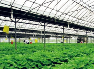 未來農業發展趨勢--互聯網+生態農業