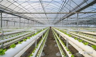 推進農產品產業化,把握好這三個階段是關鍵