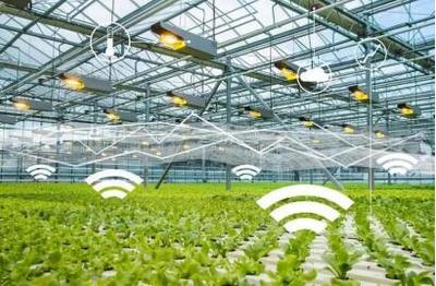 線上綠色農(nóng)業(yè):綠色農(nóng)產(chǎn)品牽手&ldquo;互聯(lián)網(wǎng)&rdquo;,帶來新機(jī)遇