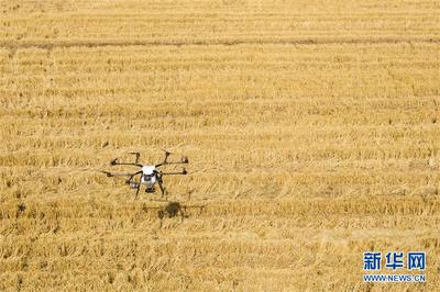 農(nóng)活兒也能很新潮