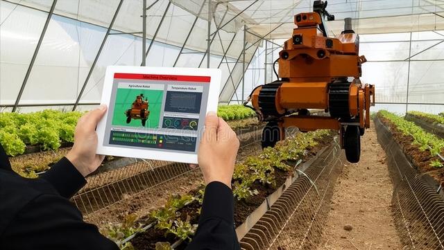 未來農(nóng)村的發(fā)展格局:養(yǎng)老服務(wù),高科技農(nóng)業(yè),機械化,自動化