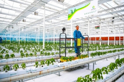 乘&ldquo;數(shù)&rdquo;而上,浙江讓農(nóng)業(yè)更&ldquo;聰明&rdquo;