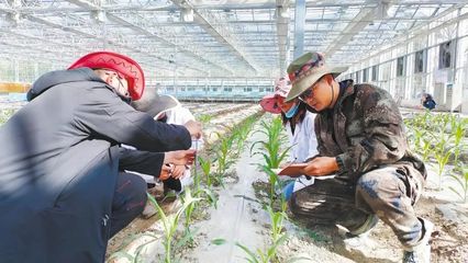 湖北這些示范點和標兵入選!