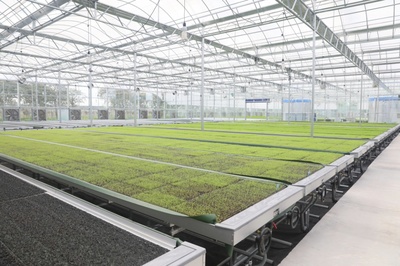 ?金山這個智聯植物工廠科技范十足!