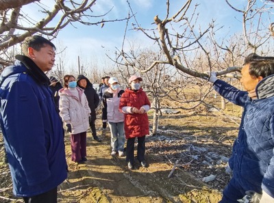 科技助農到田間 服務果農暖心田--開封市農林科學研究院"四下基層"科技服務紀實