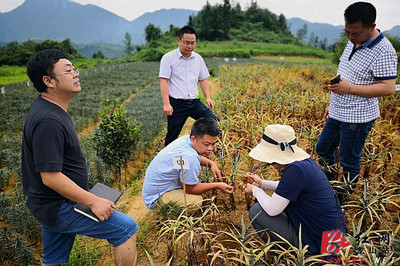 省農(nóng)科院科技專家服務(wù)團深入龍山田間地頭助力產(chǎn)業(yè)發(fā)展